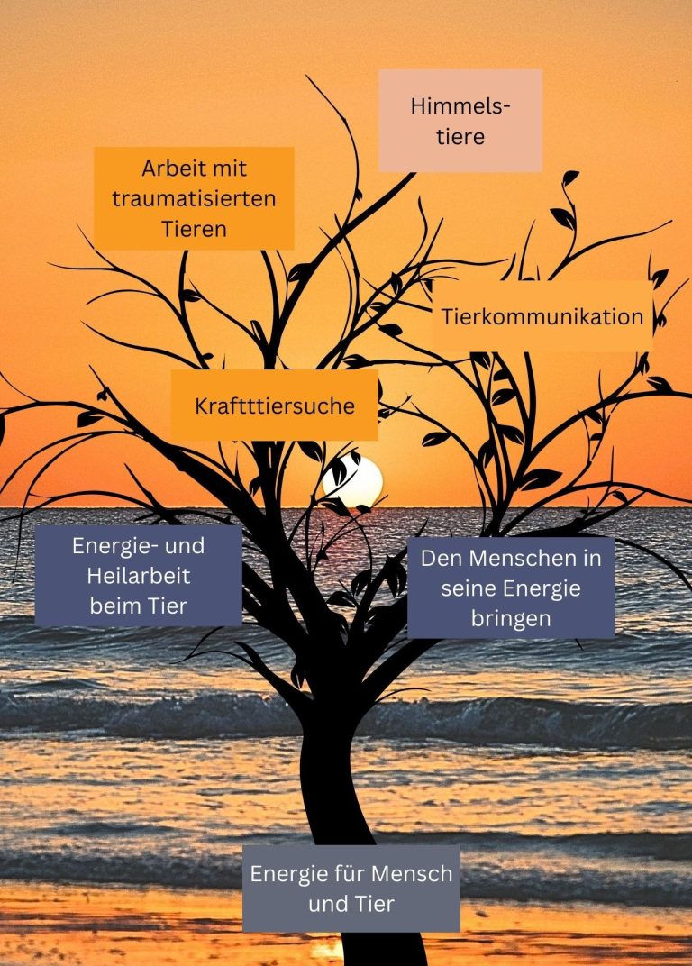 Energiearbeit Bayern
